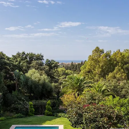 Safari * Marbella